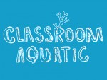 Classroom Aquatic Oyna